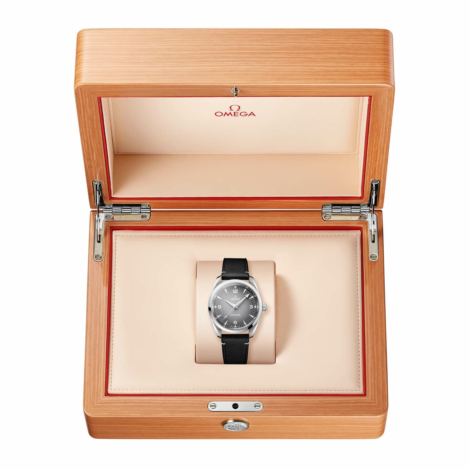 OMEGA Seamaster Railmaster 38 mm / Vintage Textured – Bracelet - Imagem 5